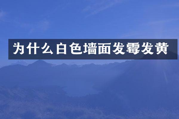 为什么白色墙面发霉发黄