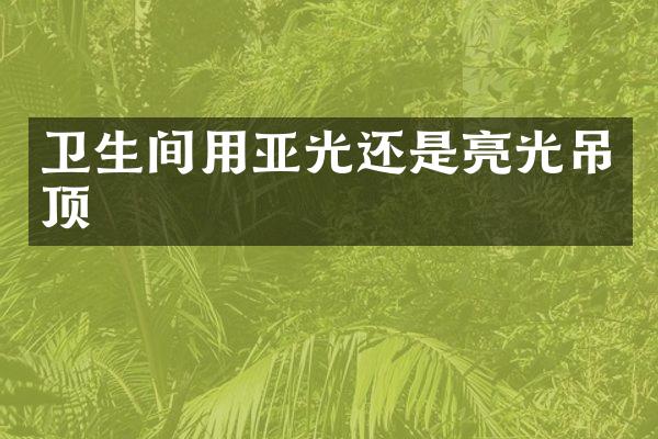 卫生间用亚光还是亮光吊顶