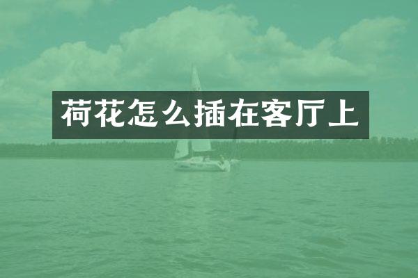 荷花怎么插在客厅上