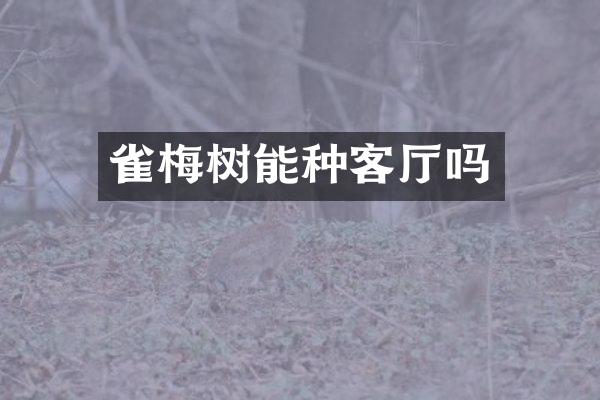 雀梅树能种客厅吗