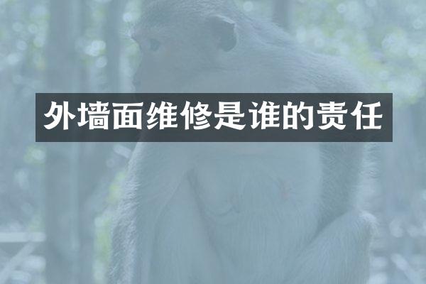 外墙面维修是谁的责任