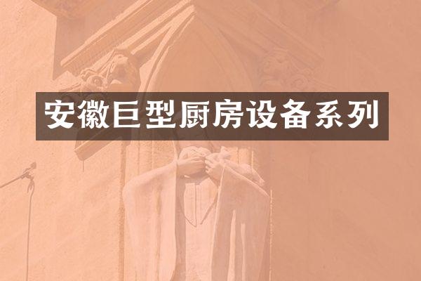 安徽巨型厨房设备系列