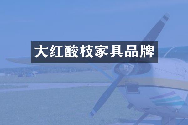 大红酸枝家具品牌