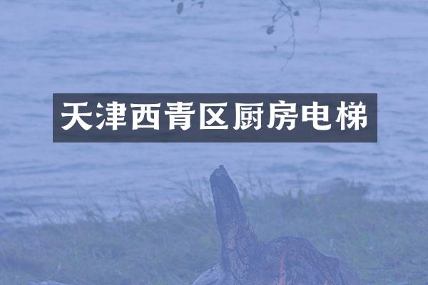 天津西青区厨房电梯