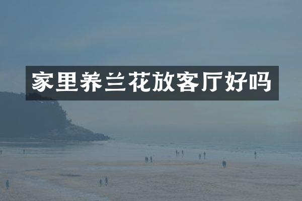 家里养兰花放客厅好吗