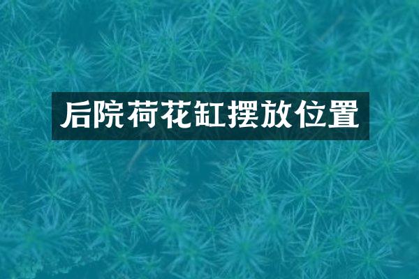 后院荷花缸摆放位置