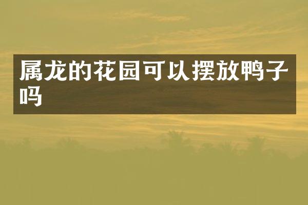 属龙的花园可以摆放鸭子吗