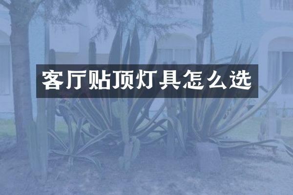 客厅贴顶灯具怎么选