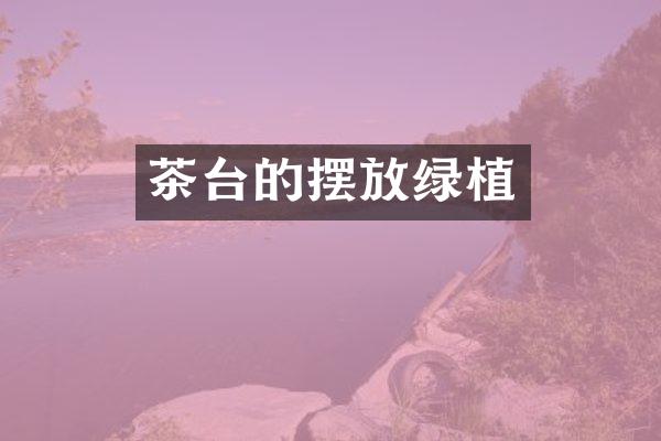 茶台的摆放绿植