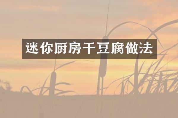 迷你厨房干豆腐做法