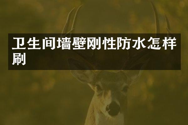 卫生间墙壁刚性防水怎样刷