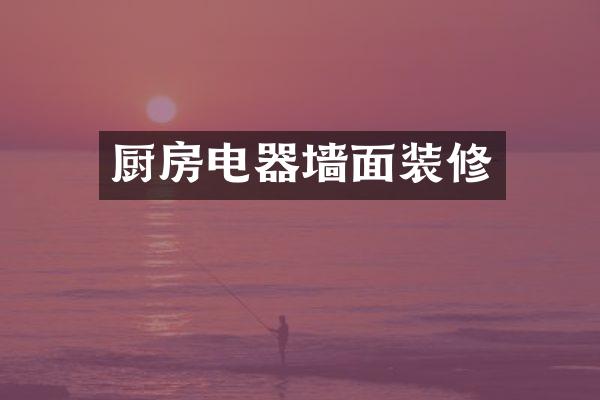 厨房电器墙面装修