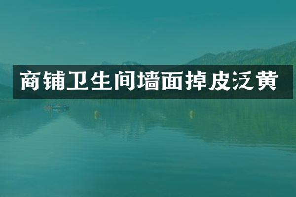 商铺卫生间墙面掉皮泛黄