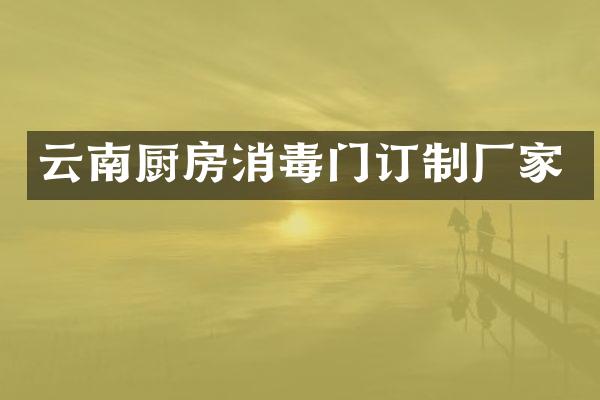 云南厨房消毒门订制厂家