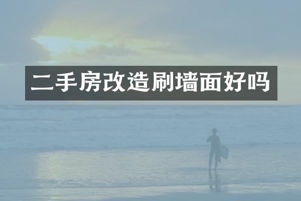 二手房改造刷墙面好吗
