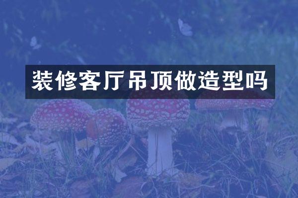 装修客厅吊顶做造型吗