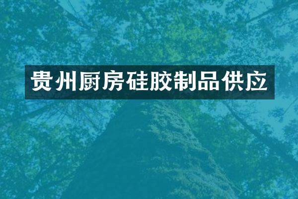 贵州厨房硅胶制品供应