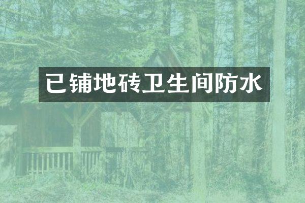 已铺地砖卫生间防水