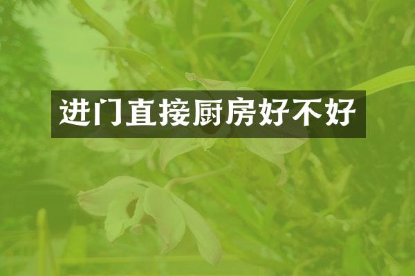 进门直接厨房好不好