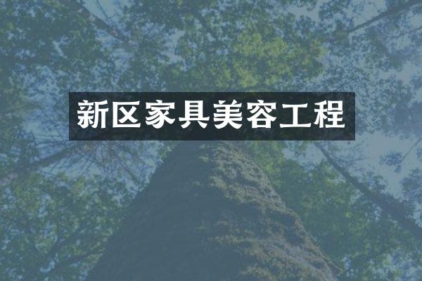 新区家具美容工程