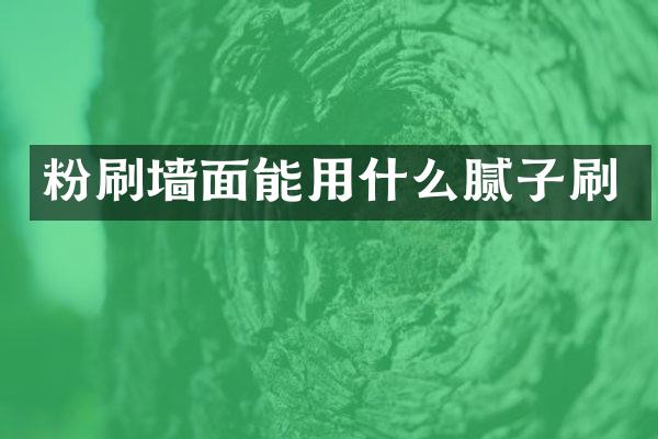 粉刷墙面能用什么腻子刷