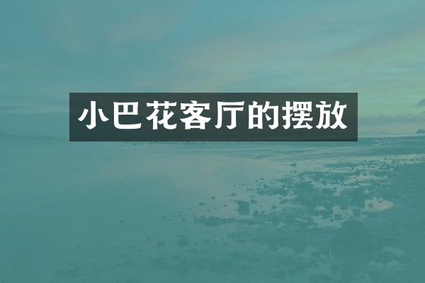 小巴花客厅的摆放