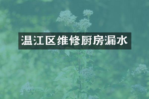温江区维修厨房漏水