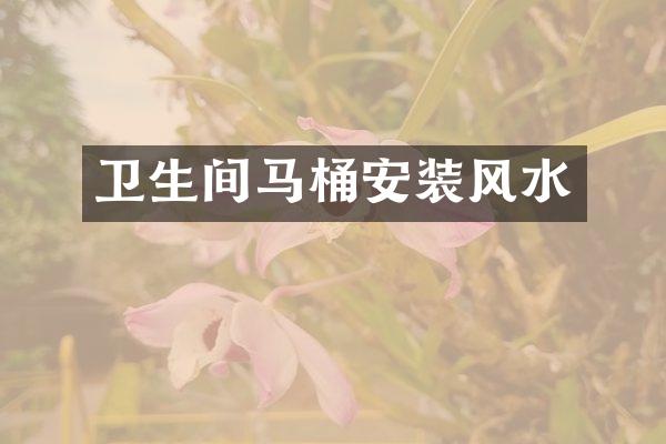 卫生间马桶安装风水