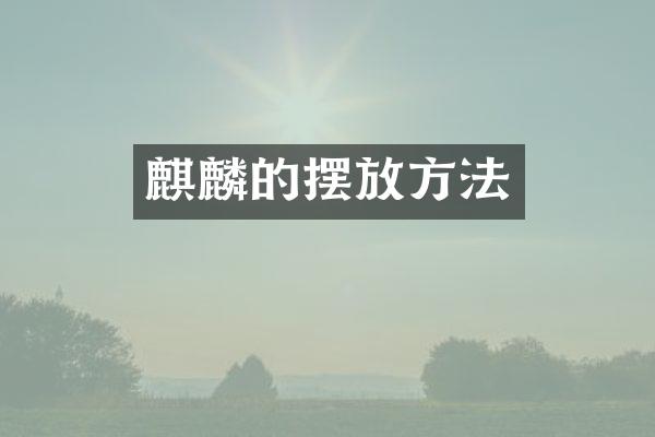 麒麟的摆放方法
