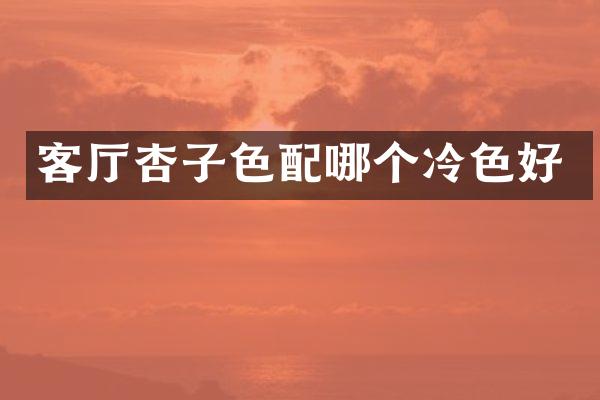 客厅杏子色配哪个冷色好
