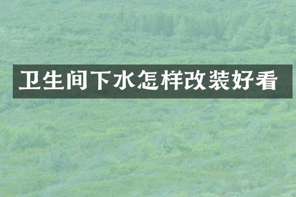 卫生间下水怎样改装好看