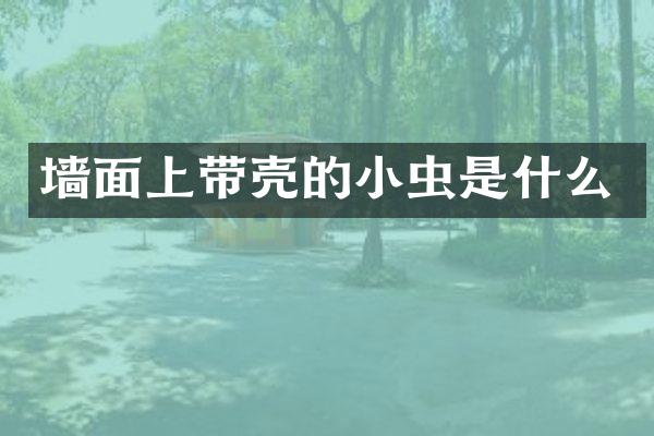 墙面上带壳的小虫是什么