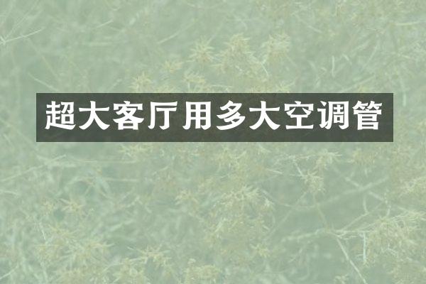 超大客厅用多大空调管