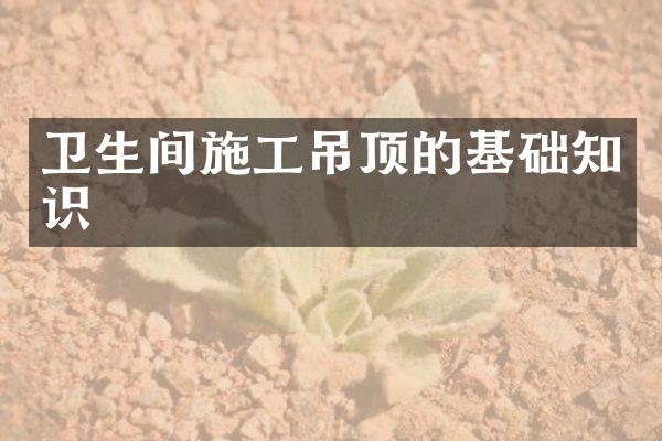 卫生间施工吊顶的基础知识