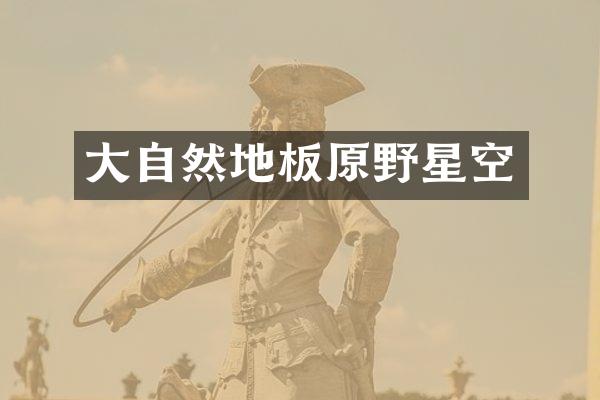 大自然地板原野星空