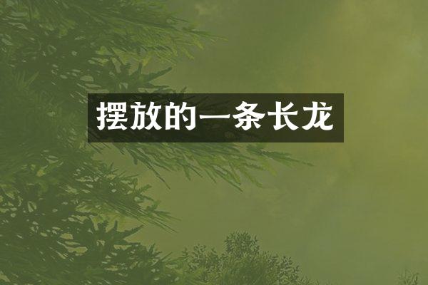 摆放的一条长龙