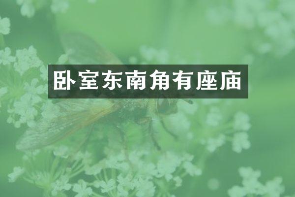 卧室东南角有座庙