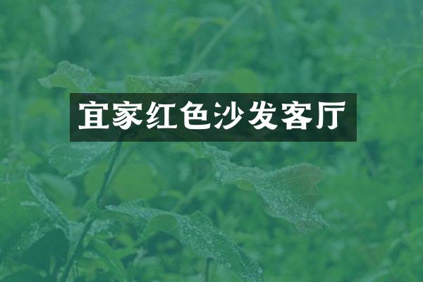 宜家红色沙发客厅