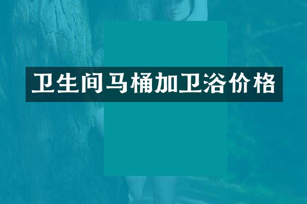 卫生间马桶加卫浴价格