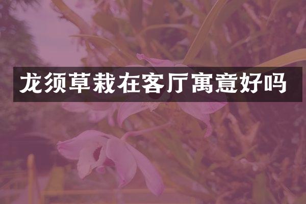 龙须草栽在客厅寓意好吗
