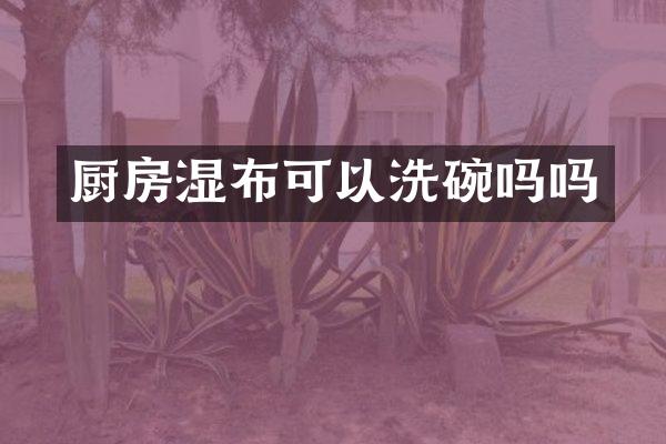 厨房湿布可以洗碗吗吗
