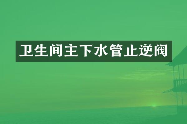 卫生间主下水管止逆阀