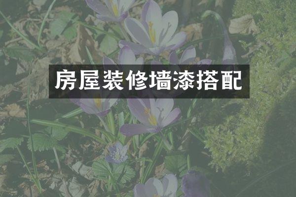 房屋装修墙漆搭配