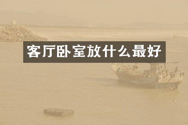 客厅卧室放什么最好