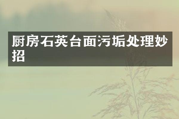 厨房石英台面污垢处理妙招