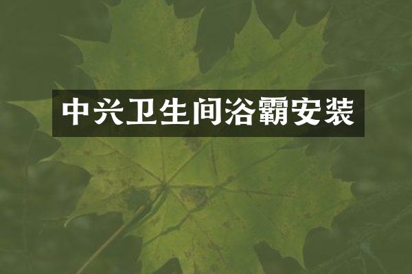 中兴卫生间浴霸安装