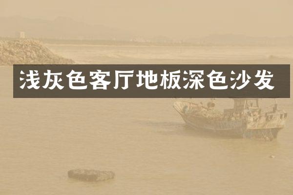 浅灰色客厅地板深色沙发