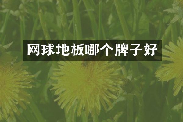 网球地板哪个牌子好