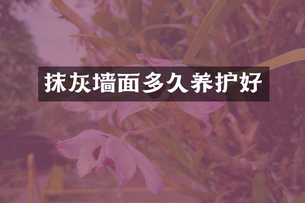 抹灰墙面多久养护好