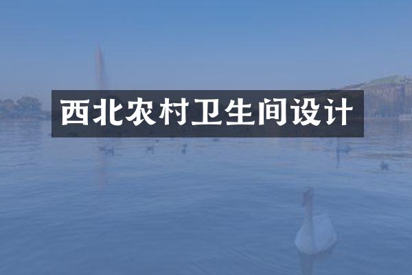 西北农村卫生间设计
